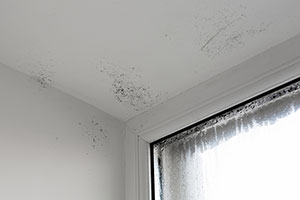 damp window - Improving Air Quality for Tenants