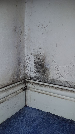 world ventilation day