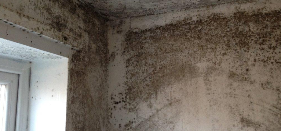 Airtech helps landlords tackle mould and condensation