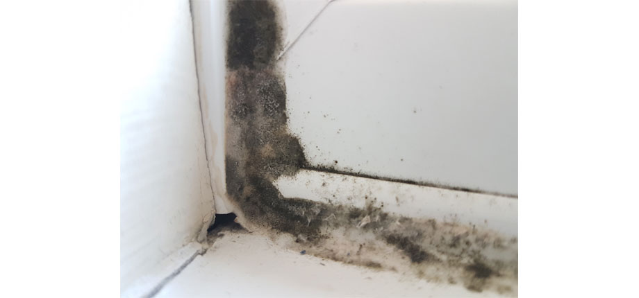 condensation mould