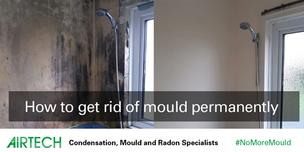 mould