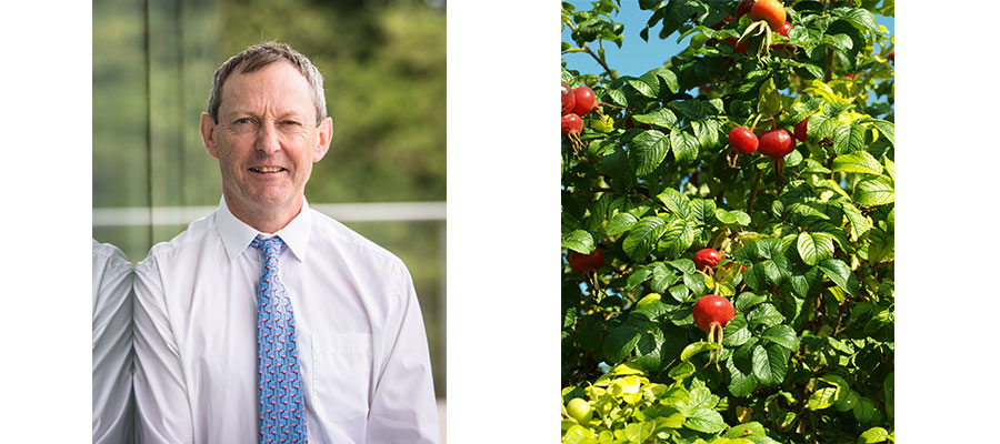 Dr Peter Fitzsimons of the PCA; and Japanese knotweed and other invasive weeds can cause damage to property