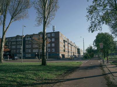 anti-social behaviour