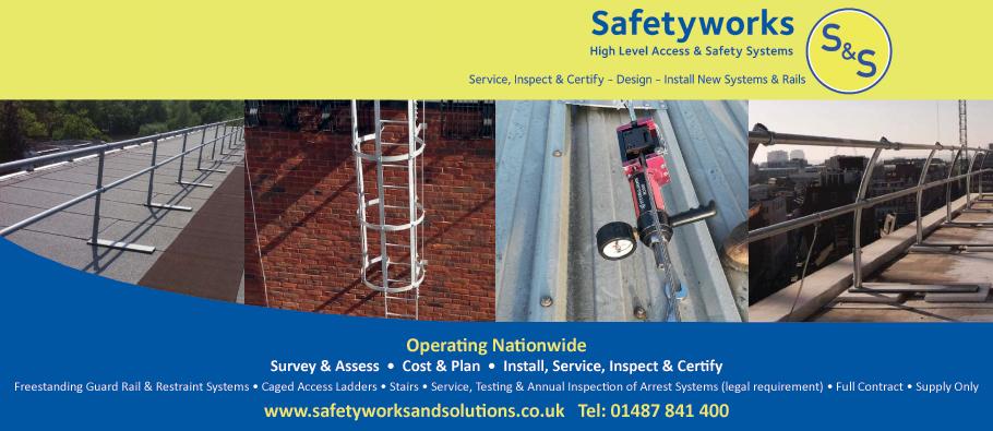 High level access and safety systems