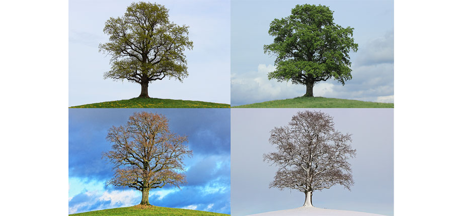 This image has been removed. For security reasons, only images from the local domain are allowed. Image removed.