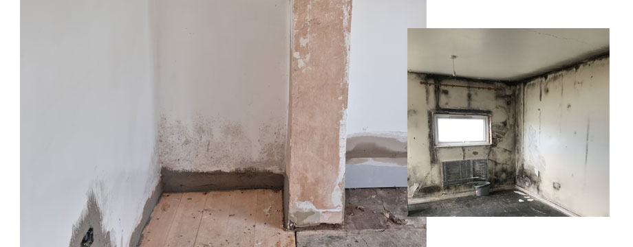 This image has been removed. For security reasons, only images from the local domain are allowed. Image removed.